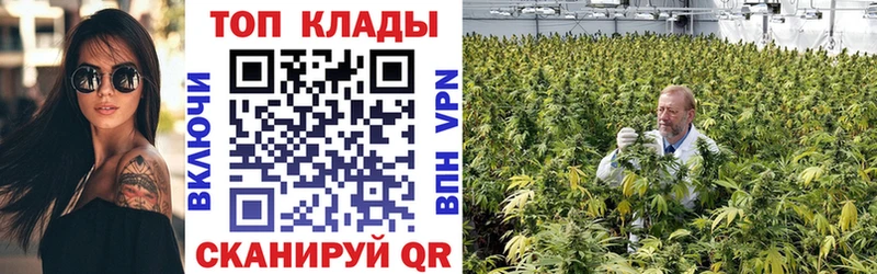 Цена Суджа Альфа ПВП МЕФ Канабис