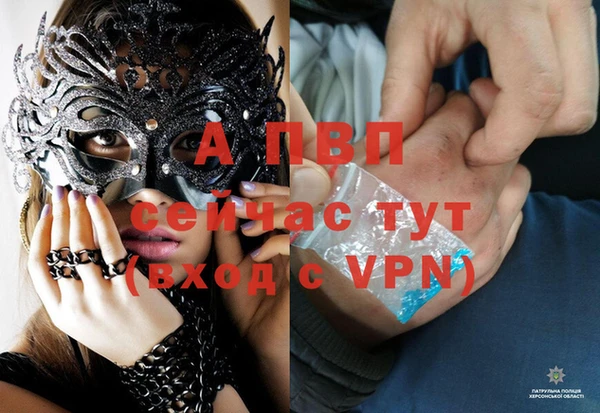 стаф Алексеевка