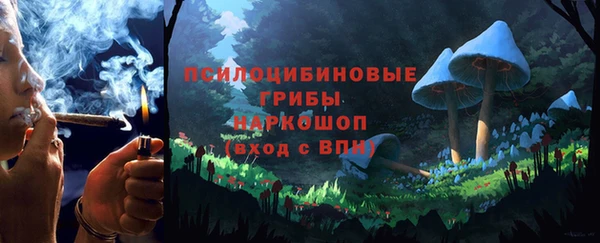 PSILOCYBIN Алексин
