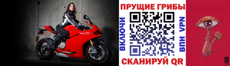 Псилоцибиновые грибы прущие грибы  как найти   кракен вход  Суджа 