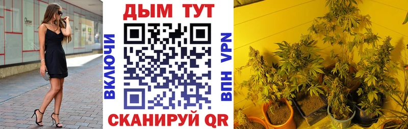 гидра зеркало  наркотики  Суджа  Бошки Шишки план 